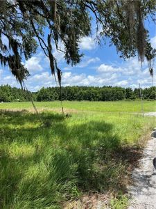 0 Pound Road, Guyton, GA, 31312