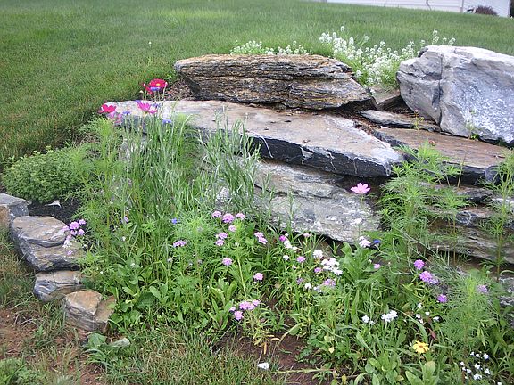 Rock wall in backyard