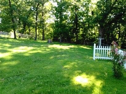 back yard