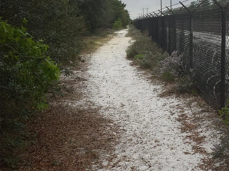 Nature Trail