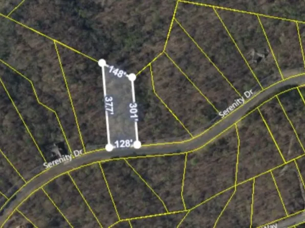 229 & 233 Serenity Dr, Pickens, SC 29671