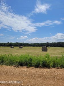 LOT 3 County Road 191, Flemington, MO, 65650