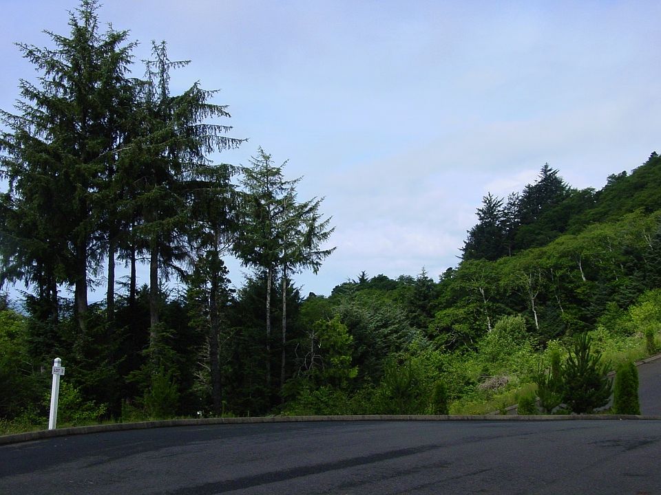 2nd image of 1900 Creek Side Court