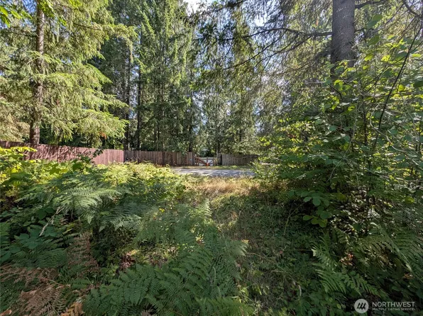 46017 Baker Drive, Concrete, WA 98237
