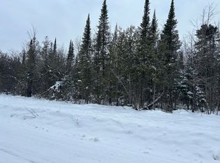 0 County Road 415, Newberry, MI 49868
