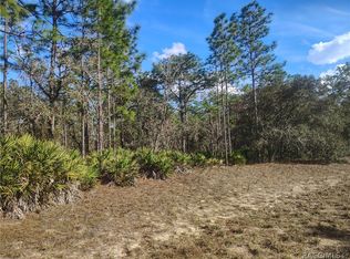 4196 W Horseshoe Dr, Beverly Hills, FL 34465