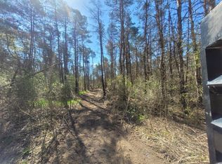 22851 Waterwheel Rd, Pierson, MI 49339