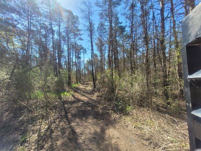 22851 Waterwheel Rd, Pierson, MI, 49339