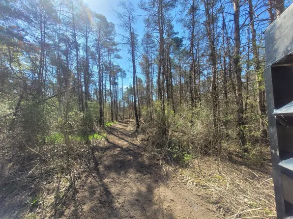 22851 Waterwheel Rd, Pierson, MI 49339