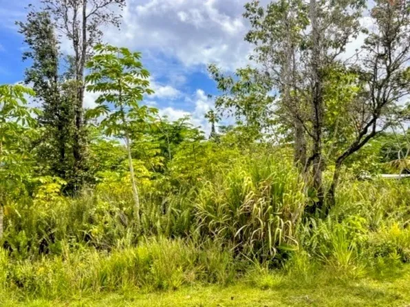 Moaniala St Lot 193, Pahoa, HI 96778