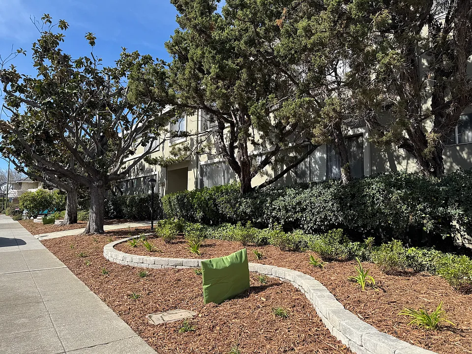 258 Pamela Drive