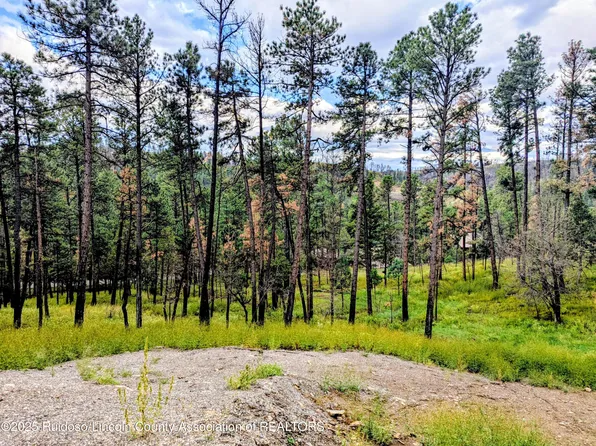 142 Sunset Dr, Alto, NM 88312