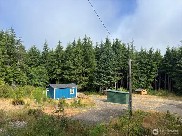 282 Copalis Beach Road, Copalis Beach, WA 98355