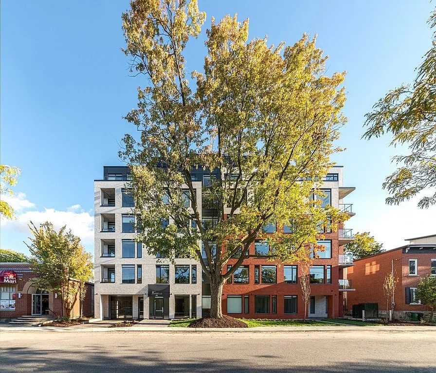 1 bed, 536 sqft, $2,195 — Photo 1