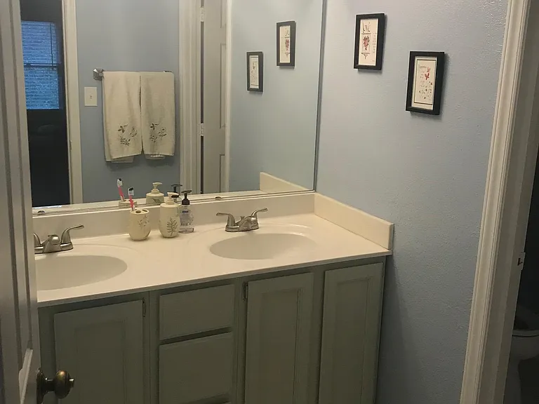 Primary bathroom