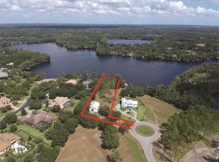 16136 Carencia Ln, Odessa, FL 33556