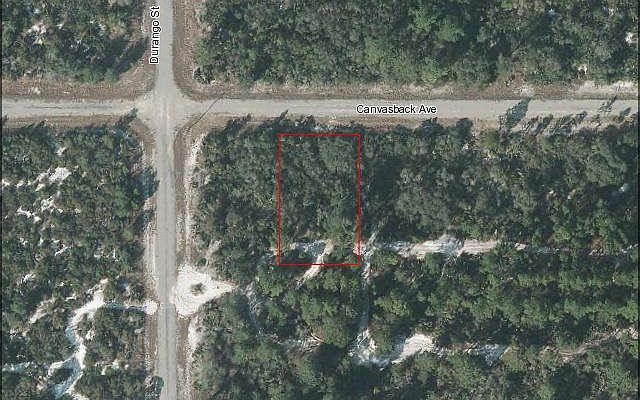 2nd image of 3350 Canvasback Ave