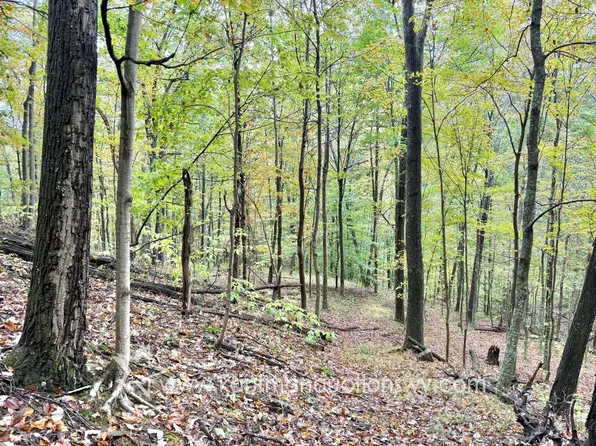 0 Jesse Run Rd, Arnoldsburg, WV 25234