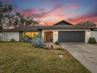 13206 Tifton Dr, Tampa, FL, 33618