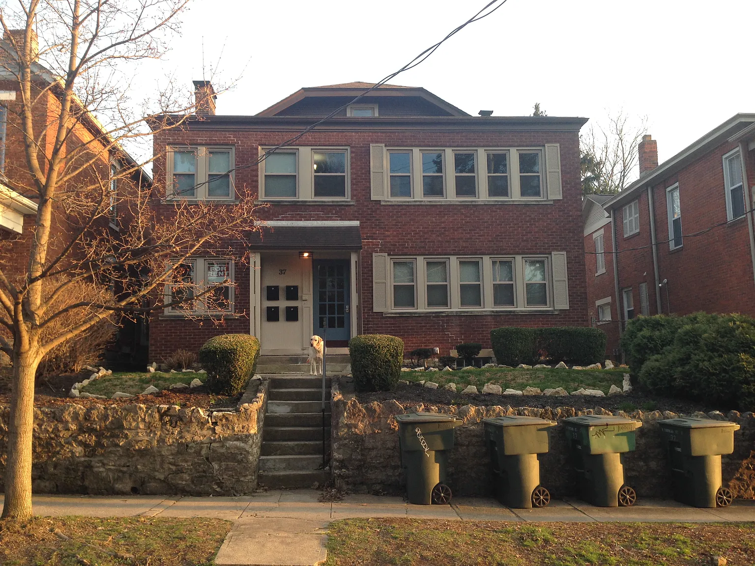 1 bed, 1100 sqft, $1,600 — Photo 1