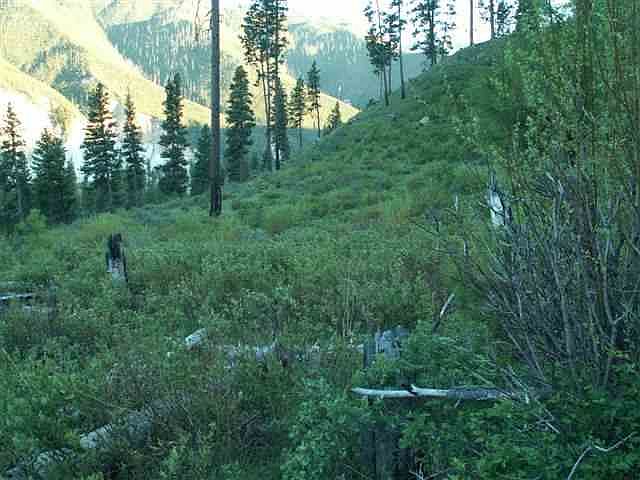 2nd image of 3 Plateau Dr