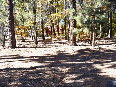 294 Pine Ln, Sugarloaf, CA, 92386