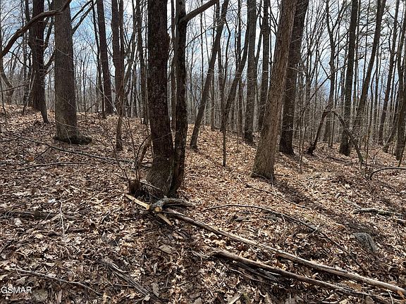 4th image of 12 Swann Saddle Rd Lot 12