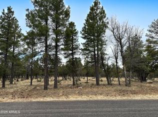 3431 Durango Dr #205, Happy Jack, AZ 86024