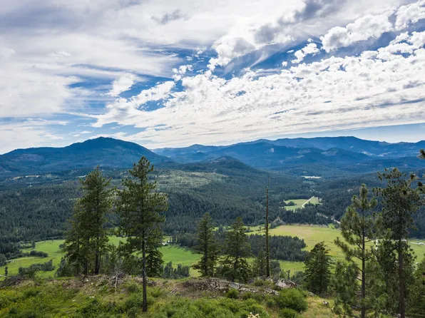 2900 Wrights Valley Rd, Chewelah, WA 99109