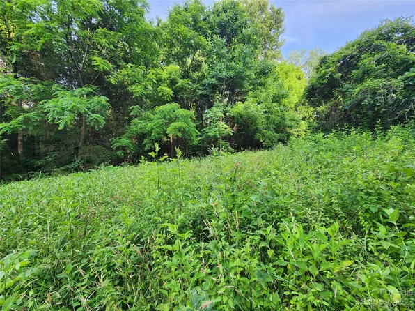 993 Wilson Valley Dr, Marion, NC 28752