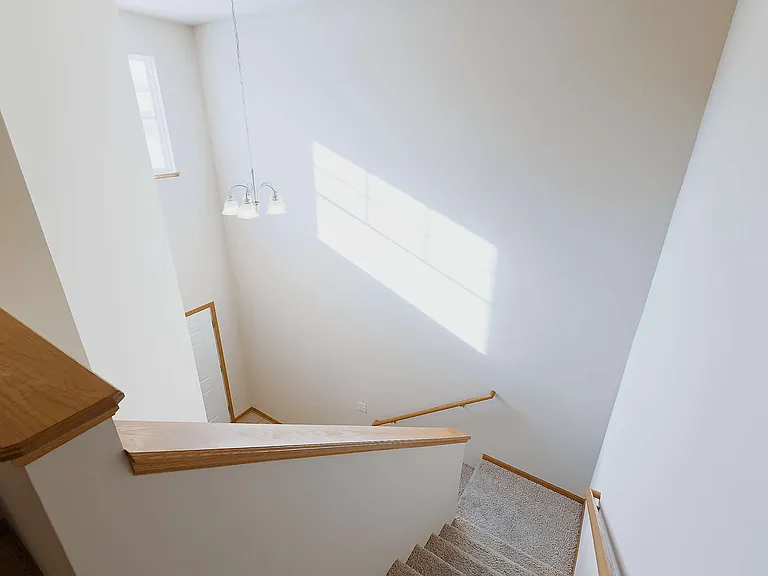 8815 Venice Ln — Photo 22