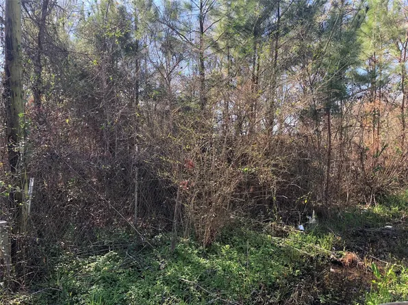 0 Piney Ln, Coldspring, TX 77331