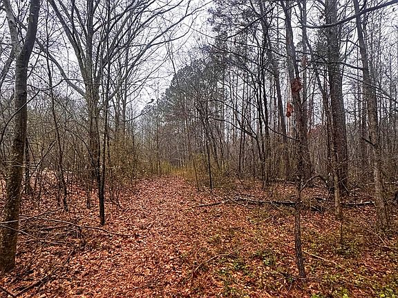 2nd image of 0 Deegee Rd #10