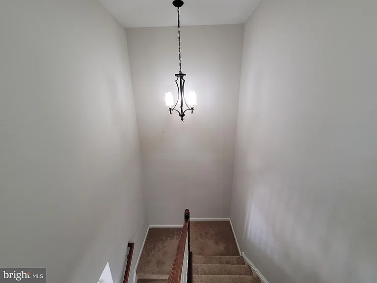 10 Bridle Ct — Photo 24