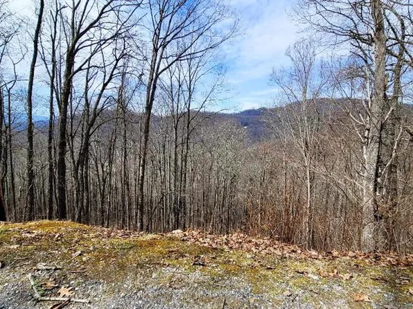 471 Eulalie Ln, Franklin, NC 28734