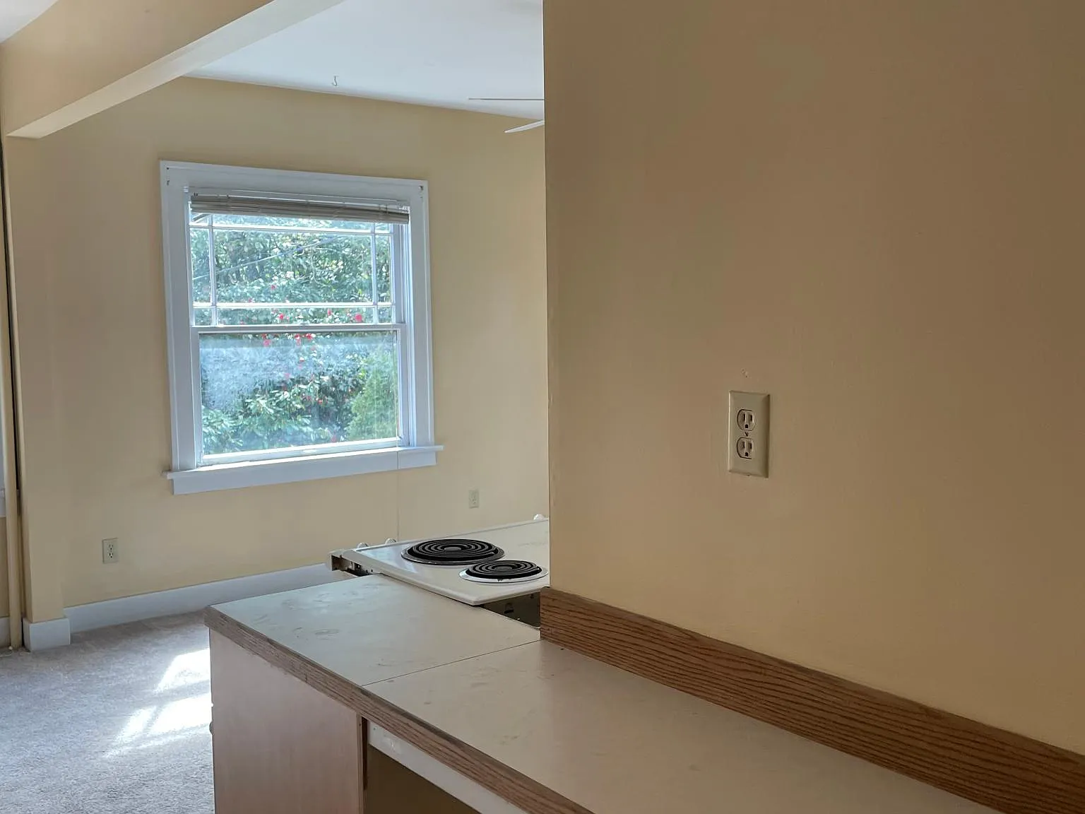 1 bed, 816 sqft, $1,600 — Photo 1
