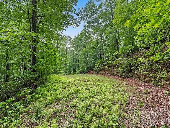 45th image of this home