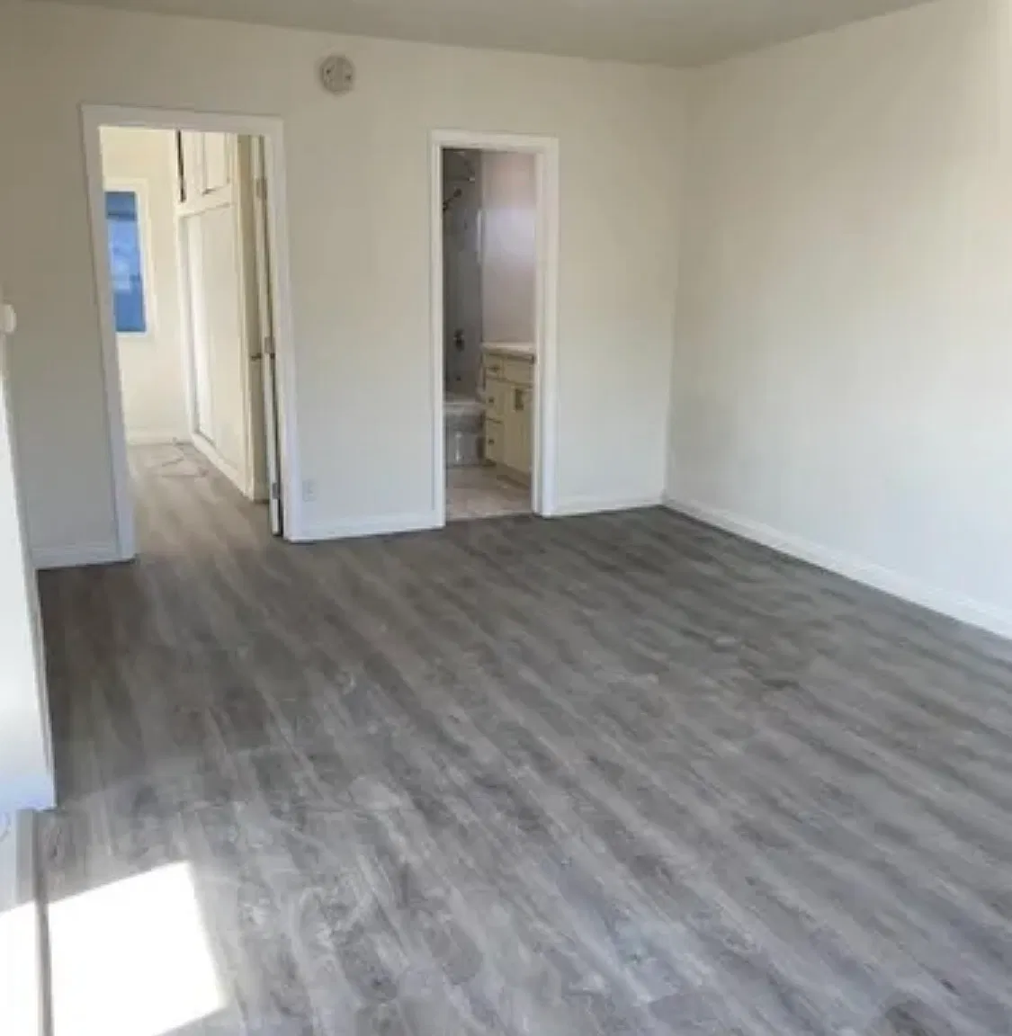 1 bed, 550 sqft, $1,590 — Photo 1