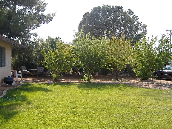 huge back yard,fruit trees