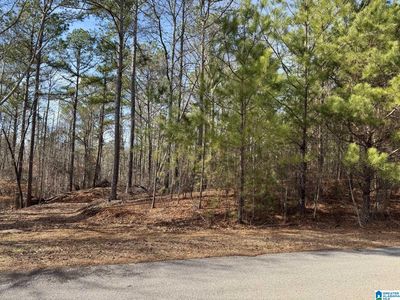 Wright Way Dr #10, Wedowee, AL, 36278