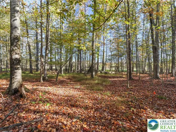 Cygnus Rd, Lake Ariel, PA 18436