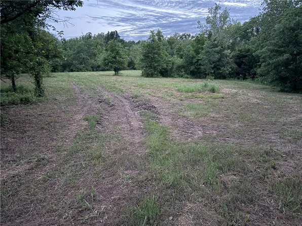 163XX E Panama Rd, Nevada, MO 64772