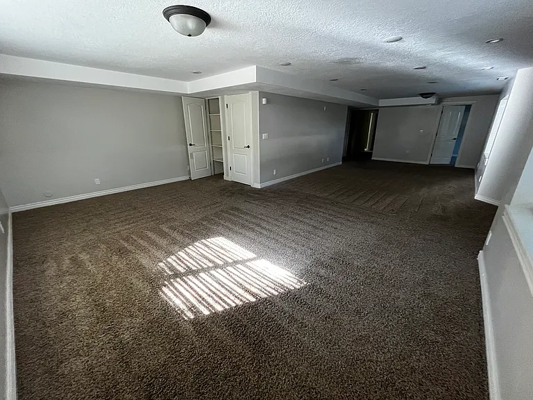 Basement family room and rec area