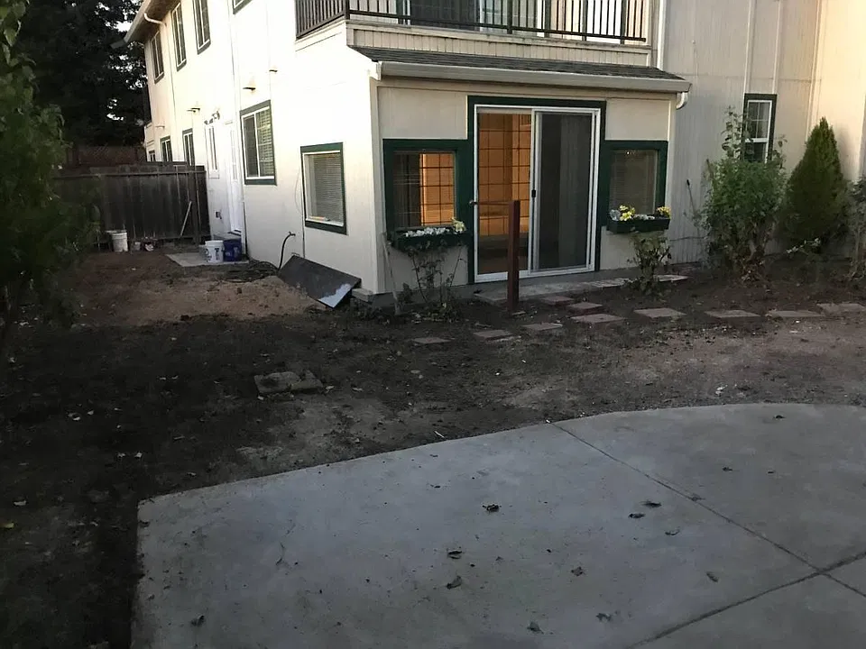 backyard