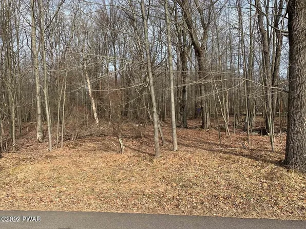 357 Black Bear Rd, Lake Ariel, PA 18436