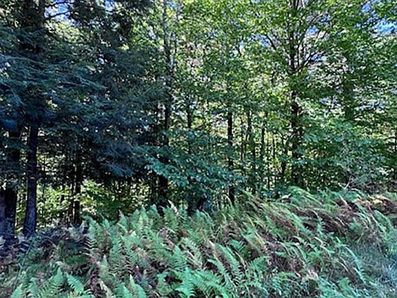 4th image of 0 Horton Hill #11