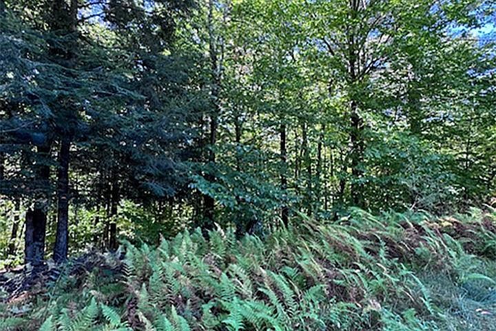 1st image of 0 Horton Hill #11
