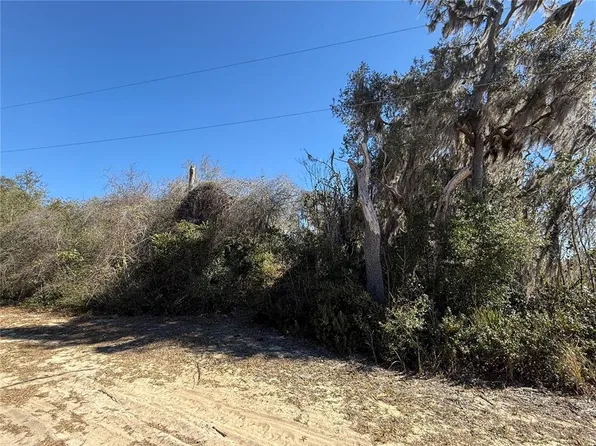 15215 NE 246th Ter Lot 3, Fort Mc Coy, FL 32134