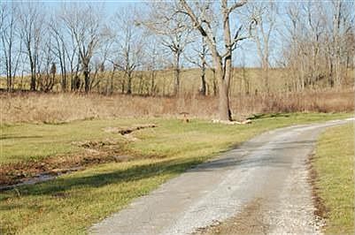 Acreage 