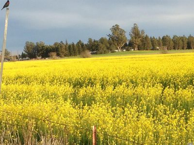 595 Stony Point Road, Petaluma, CA, 94952